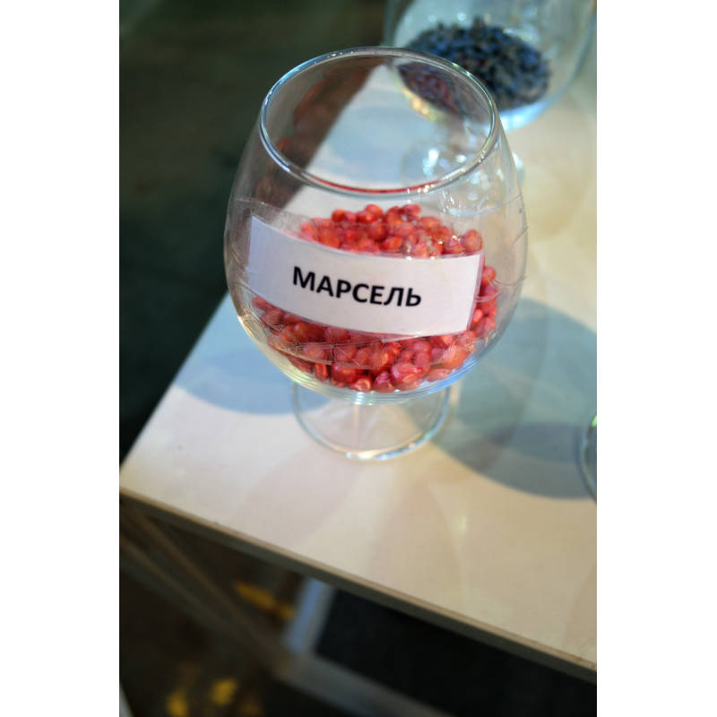 Насіння кукурудзи Марсель, ФАО 280, фр. екстра (Агро Ритм)