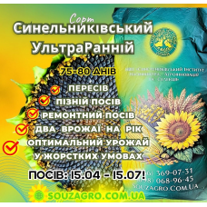 Насіння соняшника Синельниківський УльтраРанній (СУР), 75-80 днів, Екстра Плюс (3.2)