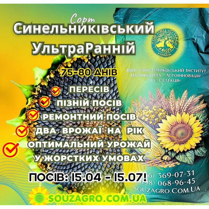 Насіння соняшника Синельниківський УльтраРанній (СУР), 75-80 днів, Екстра Плюс (3.2)