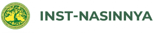 inst-nasinnya